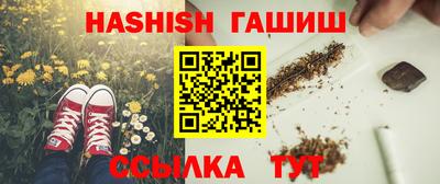 apvp Ярославль