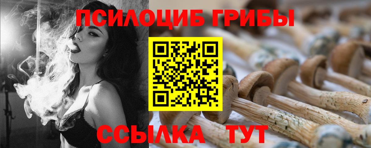 Воскресенск  Галлюциногенные грибы MAGIC MUSHROOMS  Вход с VPN  Псилоцибиновые грибы Psilocybine cubensis 